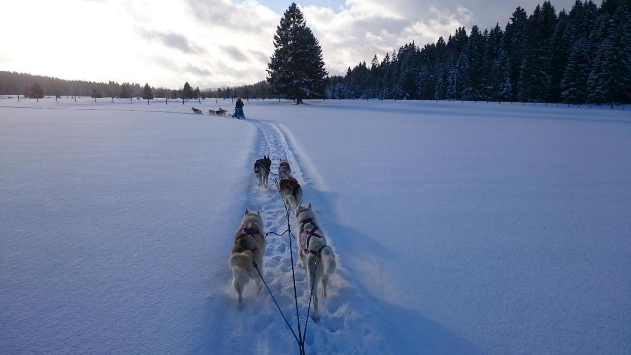 TramelanVent_Du_Nord公寓 外观 照片
