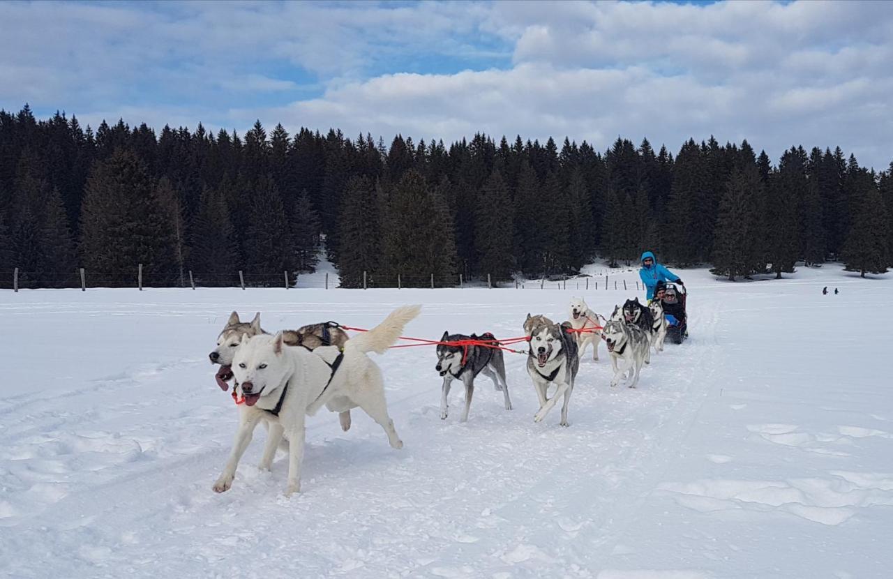 TramelanVent_Du_Nord公寓 外观 照片