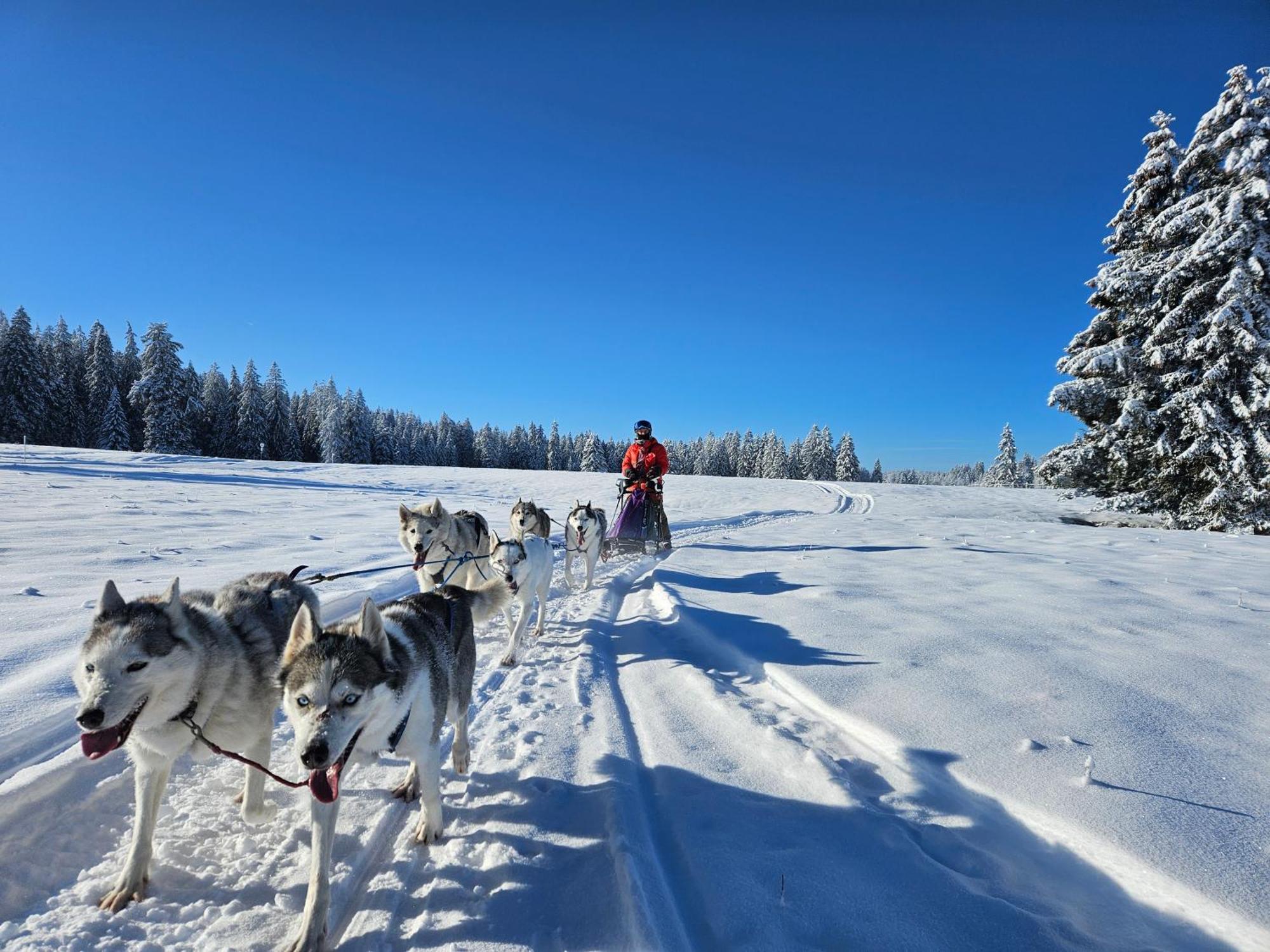 TramelanVent_Du_Nord公寓 外观 照片